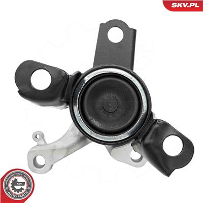 ESEN SKV 75SKV252 EAN: 5906302243747.