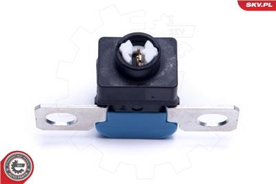 ESEN SKV 96SKV317 EAN: 5903968449742.