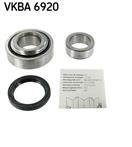SKF VKBA 6920