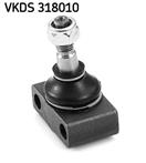 SKF VKDS 318010