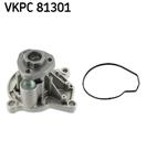 SKF VKPC 81301