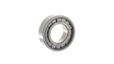 SKF VKT 1144