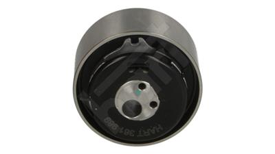 HART 361 989 EAN: 5901219443952.