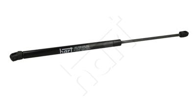 HART 810 276 EAN: 5901219486461.