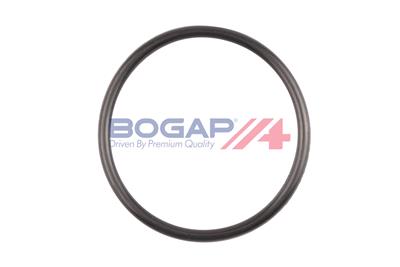 BOGAP A4234171 Číslo výrobce: 8413309000. EAN: 4251789145888.