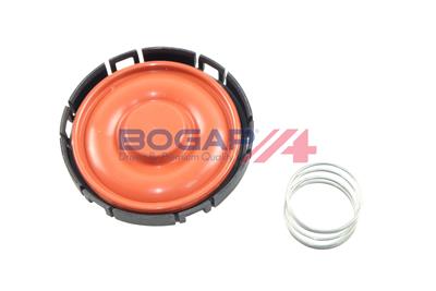 BOGAP B1116106 Číslo výrobce: 8421230000.