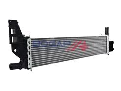 BOGAP R4210219