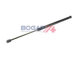 BOGAP V5134107