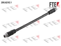 FTE 295.621E.1