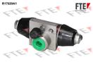 FTE R17029A1