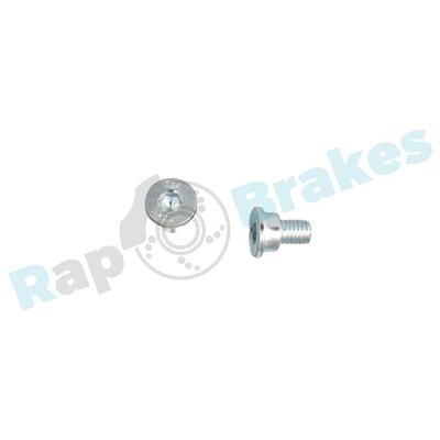 RAP BRAKES R-D0493C EAN: 5907714147944.