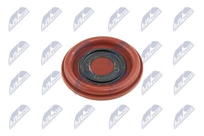 NTY BPZ-VV-002 EAN: 5902048164773.