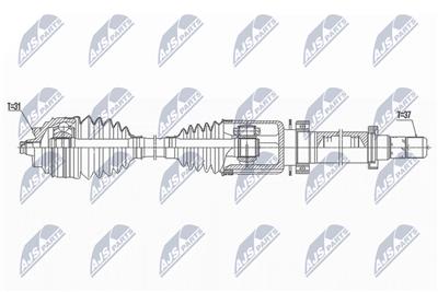 NTY NPW-BM-172 EAN: 5902048259424.