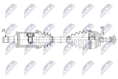 NTY NPW-BM-208 EAN: 5902048346872.