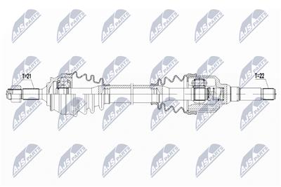 NTY NPW-CT-095 EAN: 5902048182593.