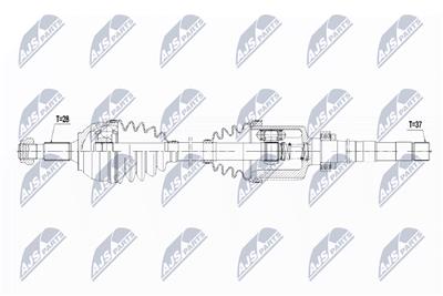 NTY NPW-CT-061 EAN: 5902048094674.