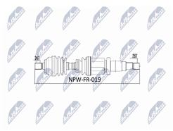 NTY NPW-FR-019