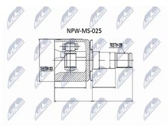 NTY NPW-MS-025