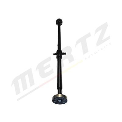 Mertz M-D1060 EAN: 5906125600499.