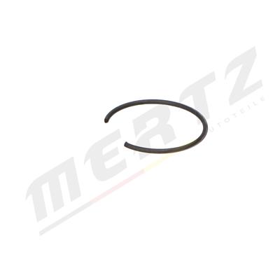 Mertz M-S0599 EAN: 5902701005900.