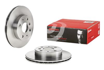 BREMBO 09.6748.10 EAN: 8020584674819.