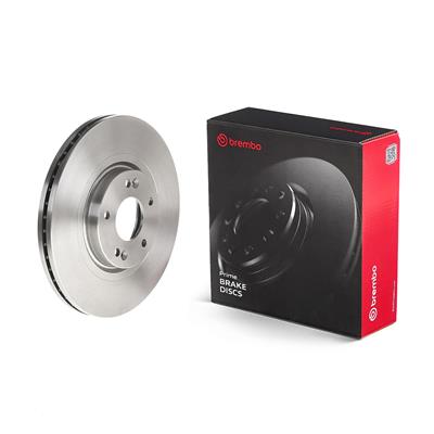 BREMBO 09.B614.10 EAN: 8020584210048.