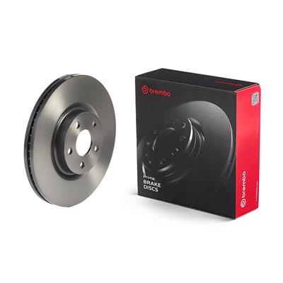 BREMBO 09.N256.31 EAN: 8020584329597.