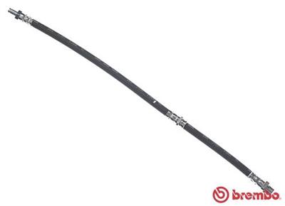 BREMBO T 06 042 EAN: 8432509653302.