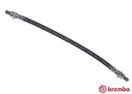 BREMBO T 24 019