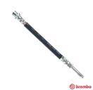 BREMBO T 24 144