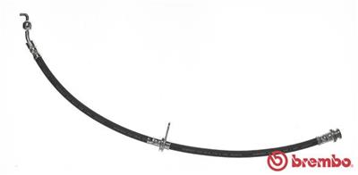 BREMBO T 79 036 EAN: 8432509650738.