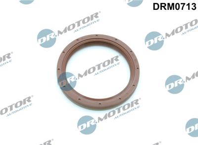 Dr.Motor Automotive DRM0713 EAN: 5903672741354.