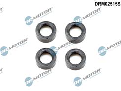 Dr.Motor Automotive DRM02515S