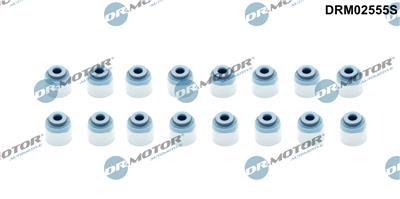 Dr.Motor Automotive DRM02555S