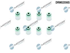 Dr.Motor Automotive DRM02556S