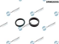 Dr.Motor Automotive DRM02655S