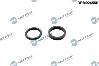 Dr.Motor Automotive DRM02655S EAN: 5904639640062.
