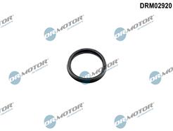 Dr.Motor Automotive DRM02920