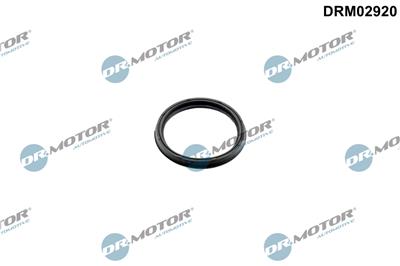 Dr.Motor Automotive DRM02920