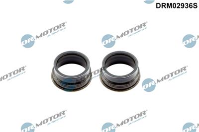 Dr.Motor Automotive DRM02936S