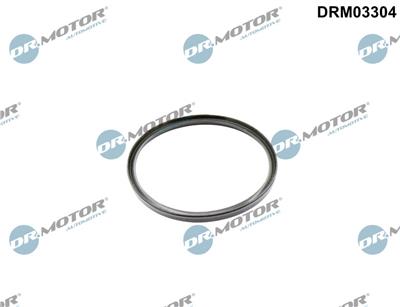 Dr.Motor Automotive DRM03304