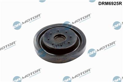 Dr.Motor Automotive DRM6925R
