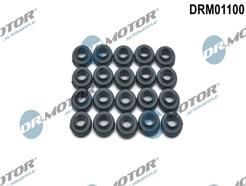 Dr.Motor Automotive DRM01100