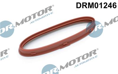 Dr.Motor Automotive DRM01246 EAN: 5904639600585.