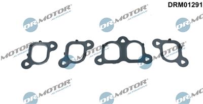 Dr.Motor Automotive DRM01291 EAN: 5904639602169.