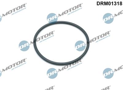 Dr.Motor Automotive DRM01318 EAN: 5904639602084.