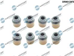 Dr.Motor Automotive DRM01707S