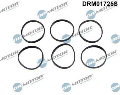 Dr.Motor Automotive DRM01725S EAN: 5904639608055.