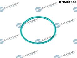 Dr.Motor Automotive DRM01815