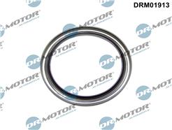 Dr.Motor Automotive DRM01913